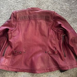 Harley Davidson Leather Jacket
